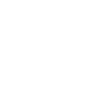 Virtual Brick for RVW
